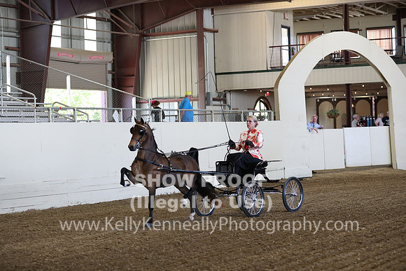 CA_Springfest19_ThursPM_8191