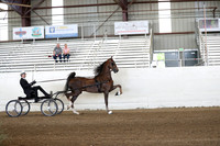 CA_Springfest19_ThursPM_8268