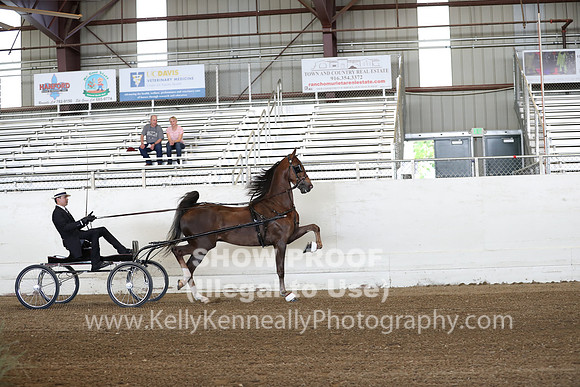 CA_Springfest19_ThursPM_8268