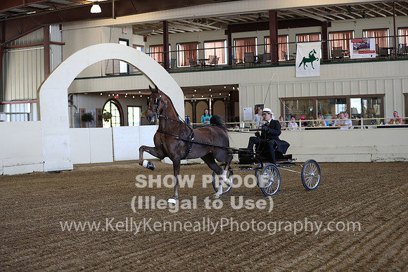CA_Springfest19_ThursPM_8263