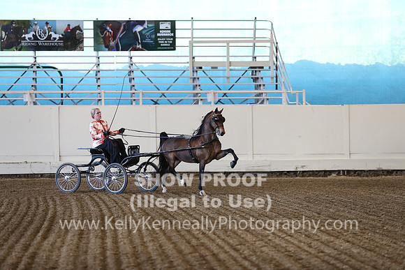 CA_Springfest19_ThursPM_8204