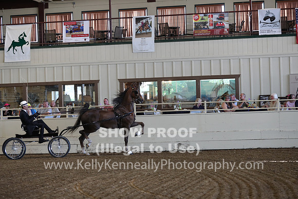 CA_Springfest19_ThursPM_8269