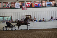 CA_Springfest19_ThursPM_8271