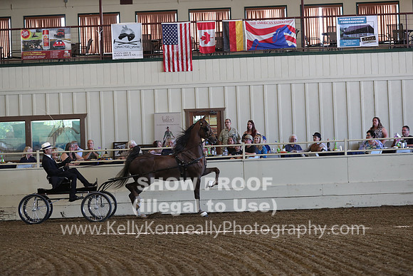 CA_Springfest19_ThursPM_8271