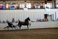 CA_Springfest19_ThursPM_8273