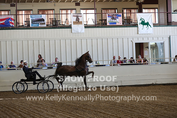CA_Springfest19_ThursPM_8273