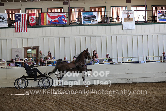 CA_Springfest19_ThursPM_8272