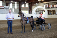 CA_Springfest19_ThursPM_8212