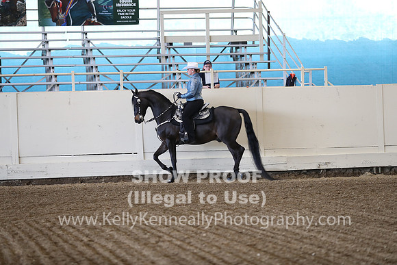 CA_Springfest19_ThursPM_8334