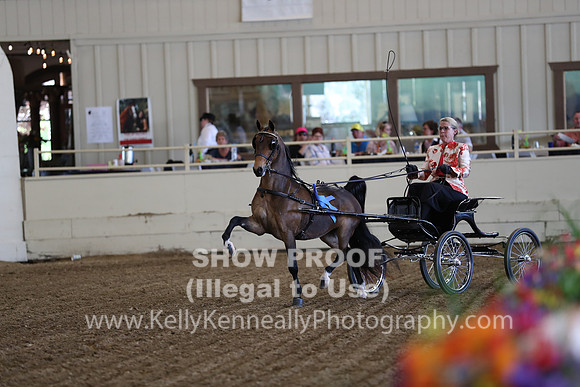 CA_Springfest19_ThursPM_8215