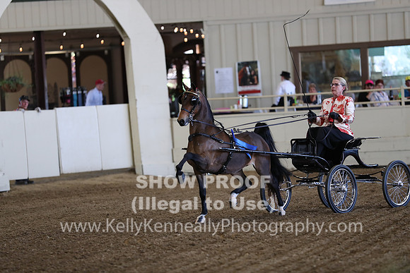 CA_Springfest19_ThursPM_8222