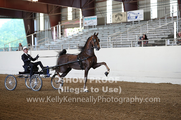 CA_Springfest19_ThursPM_8281