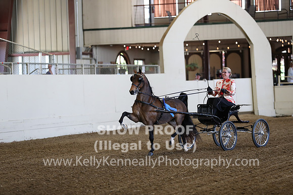 CA_Springfest19_ThursPM_8224