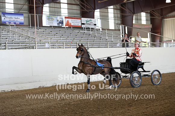 CA_Springfest19_ThursPM_8231