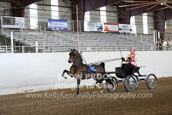 CA_Springfest19_ThursPM_8233