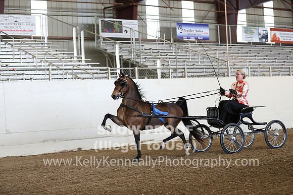 CA_Springfest19_ThursPM_8235