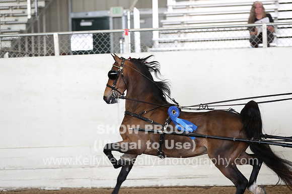 CA_Springfest19_ThursPM_8245