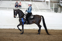 CA_Springfest19_ThursPM_8345