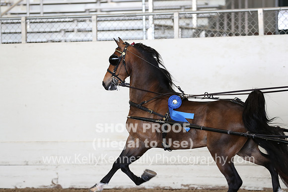 CA_Springfest19_ThursPM_8246