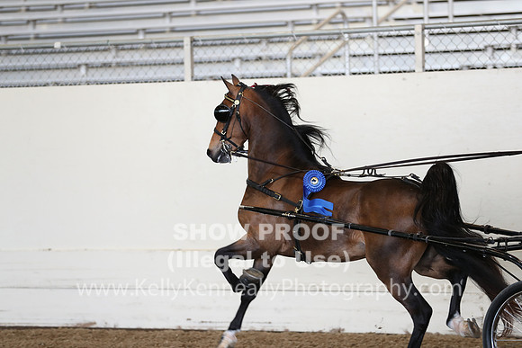 CA_Springfest19_ThursPM_8249