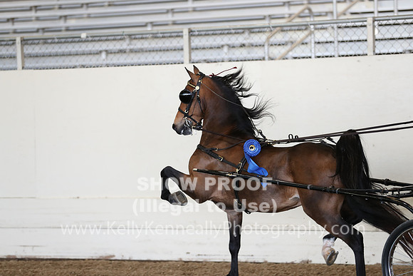 CA_Springfest19_ThursPM_8250