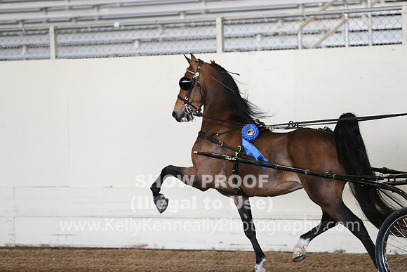 CA_Springfest19_ThursPM_8251