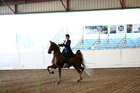 Class 4 ASB Three Gaited Amateur