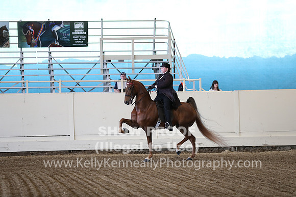 CA_Springfest19_ThursPM_8349