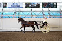 CA_Springfest19_ThursPM_8421