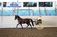 CA_Springfest19_ThursPM_8422