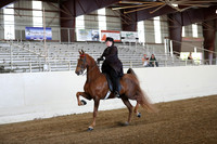 CA_Springfest19_ThursPM_8363