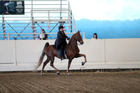 CA_Springfest19_ThursPM_8370