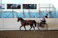 CA_Springfest19_ThursPM_8427