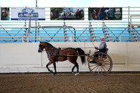 CA_Springfest19_ThursPM_8429