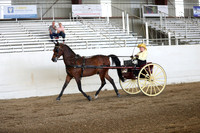 CA_Springfest19_ThursPM_8433