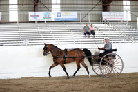 CA_Springfest19_ThursPM_8439