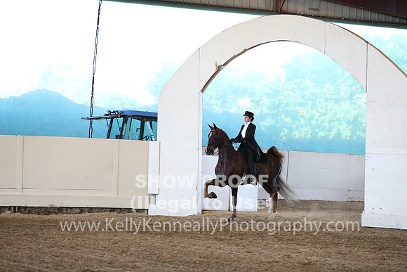 CA_Springfest19_ThursPM_8465