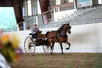 CA_Springfest19_ThursPM_8449