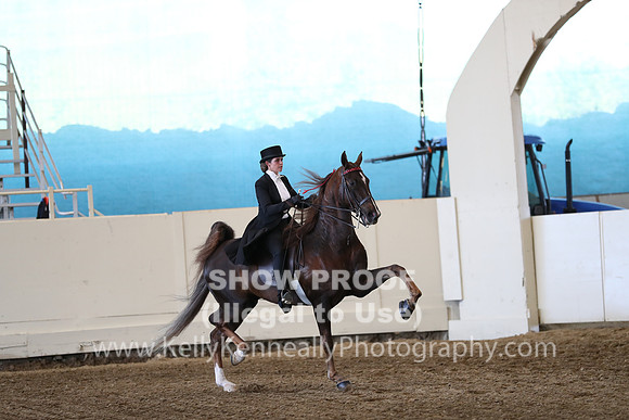 CA_Springfest19_ThursPM_8484