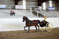 CA_Springfest19_ThursPM_8457