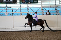 CA_Springfest19_ThursPM_8497