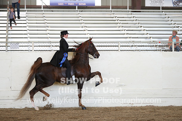 CA_Springfest19_ThursPM_8493