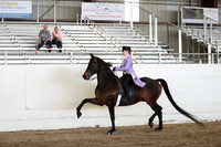 CA_Springfest19_ThursPM_8507