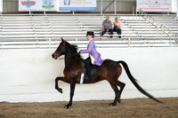 CA_Springfest19_ThursPM_8508