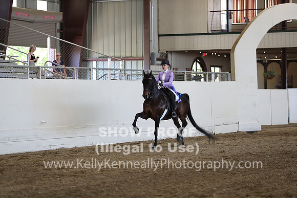 CA_Springfest19_ThursPM_8517