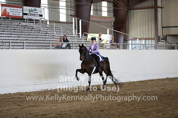 CA_Springfest19_ThursPM_8519