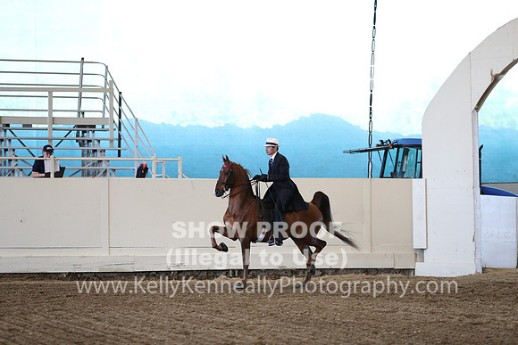 CA_Springfest19_ThursPM_8528