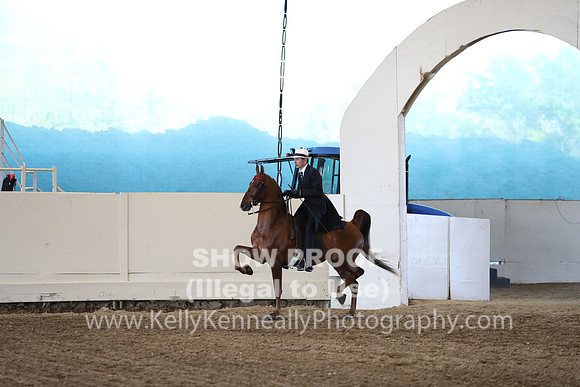 CA_Springfest19_ThursPM_8527