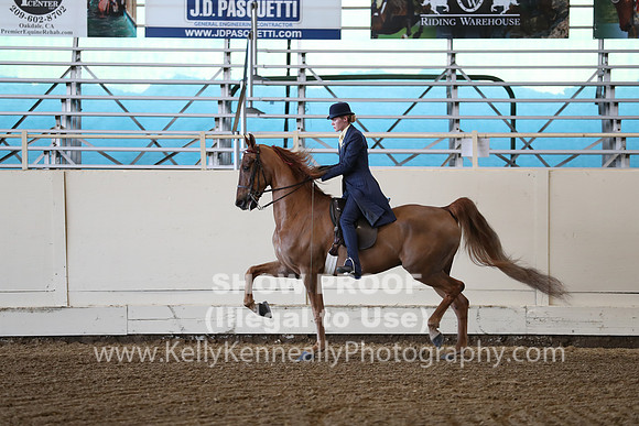 CA_Springfest19_ThursPM_8533