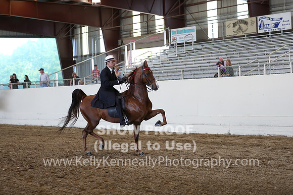 CA_Springfest19_ThursPM_8548